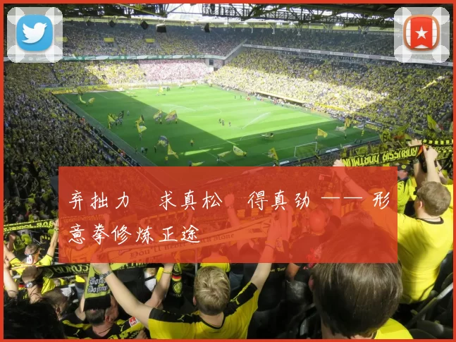 弃拙力・求真松・得真劲 —— 形意拳修炼正途