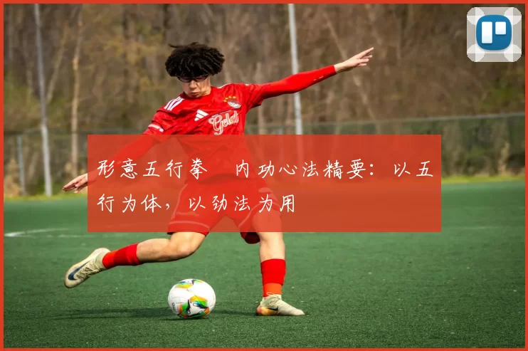 形意五行拳・内功心法精要:以五行为体,以劲法为用