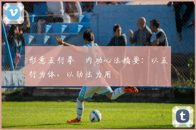 形意五行拳・内功心法精要:以五行为体,以劲法为用