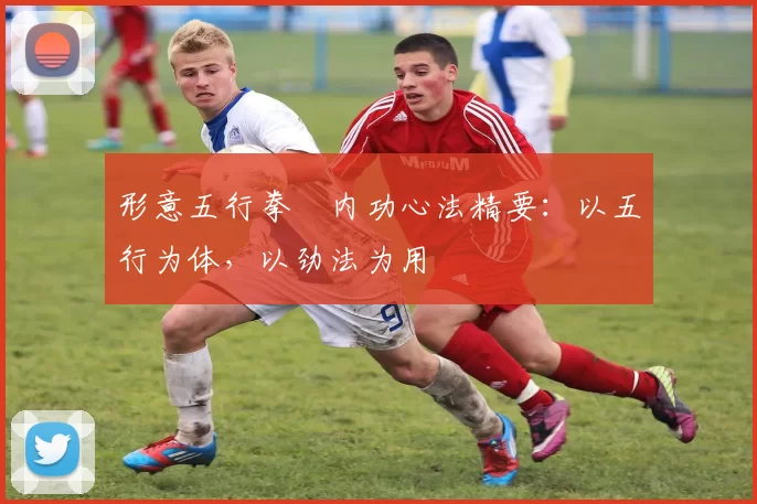 形意五行拳・内功心法精要:以五行为体,以劲法为用