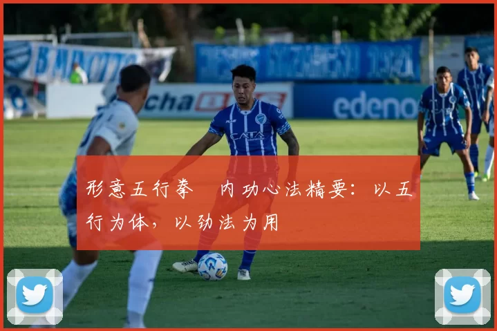 形意五行拳・内功心法精要:以五行为体,以劲法为用