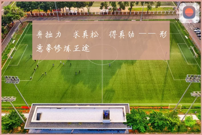 弃拙力・求真松・得真劲 —— 形意拳修炼正途