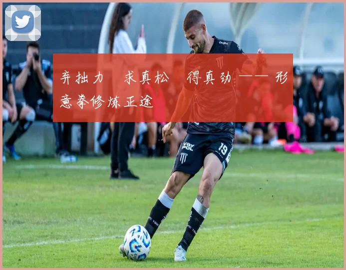 弃拙力・求真松・得真劲 —— 形意拳修炼正途