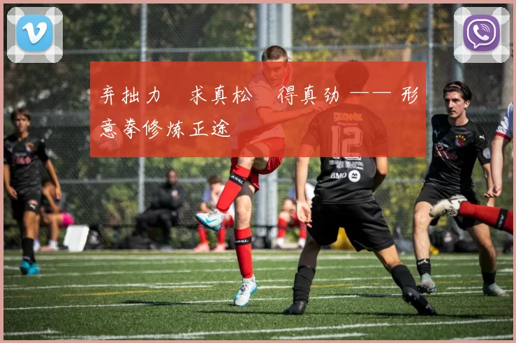 弃拙力・求真松・得真劲 —— 形意拳修炼正途