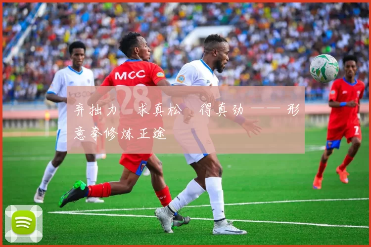 弃拙力・求真松・得真劲 —— 形意拳修炼正途