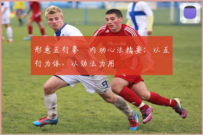 形意五行拳・内功心法精要：以五行为体，以劲法为用