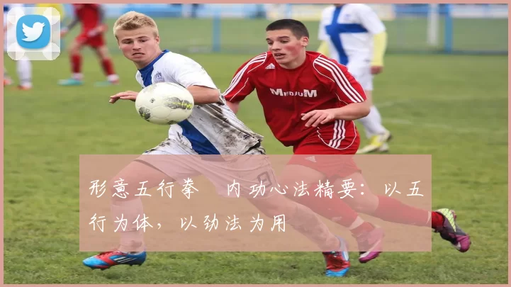 形意五行拳・内功心法精要：以五行为体，以劲法为用