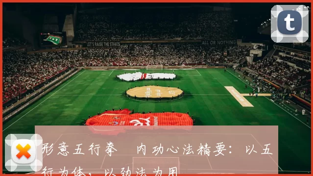 形意五行拳・内功心法精要:以五行为体,以劲法为用