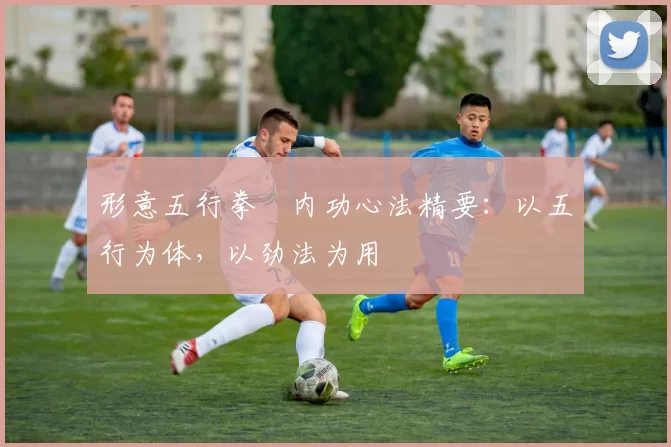 形意五行拳・内功心法精要：以五行为体，以劲法为用