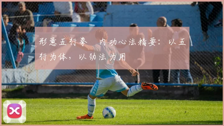 形意五行拳・内功心法精要：以五行为体，以劲法为用