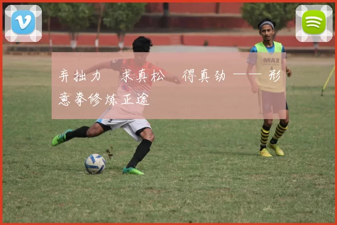 弃拙力・求真松・得真劲 —— 形意拳修炼正途