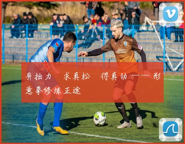 弃拙力・求真松・得真劲 —— 形意拳修炼正途