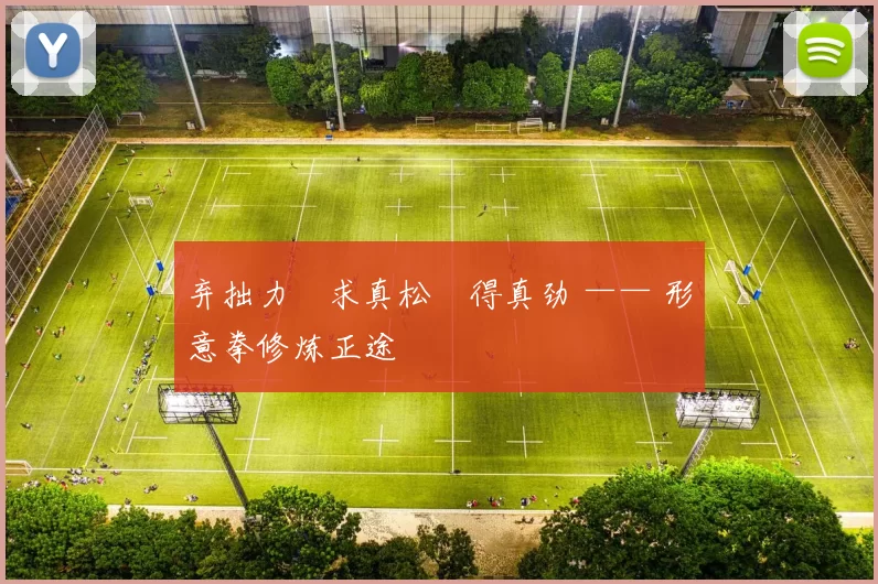 弃拙力・求真松・得真劲 —— 形意拳修炼正途