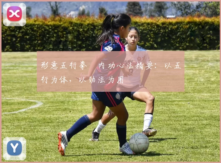 形意五行拳・内功心法精要：以五行为体，以劲法为用