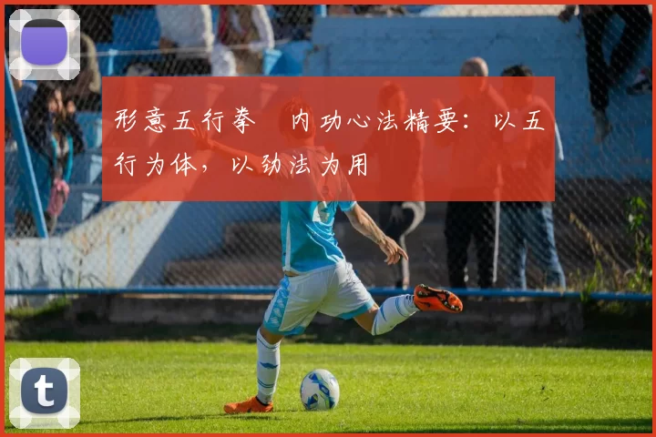 形意五行拳・内功心法精要:以五行为体,以劲法为用