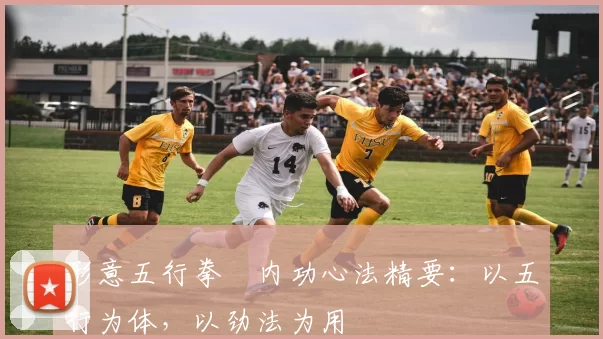 形意五行拳・内功心法精要:以五行为体,以劲法为用