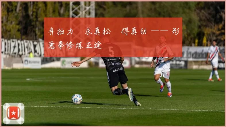 弃拙力・求真松・得真劲 —— 形意拳修炼正途