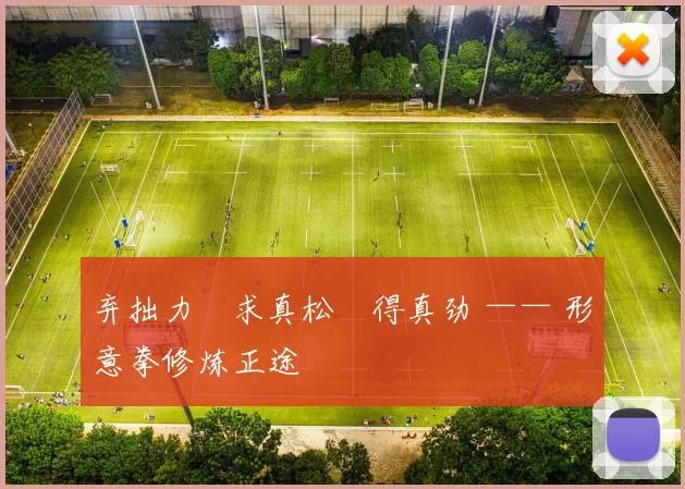 弃拙力・求真松・得真劲 —— 形意拳修炼正途