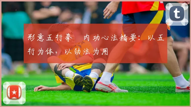 形意五行拳・内功心法精要:以五行为体,以劲法为用