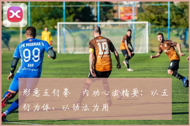 形意五行拳・内功心法精要：以五行为体，以劲法为用