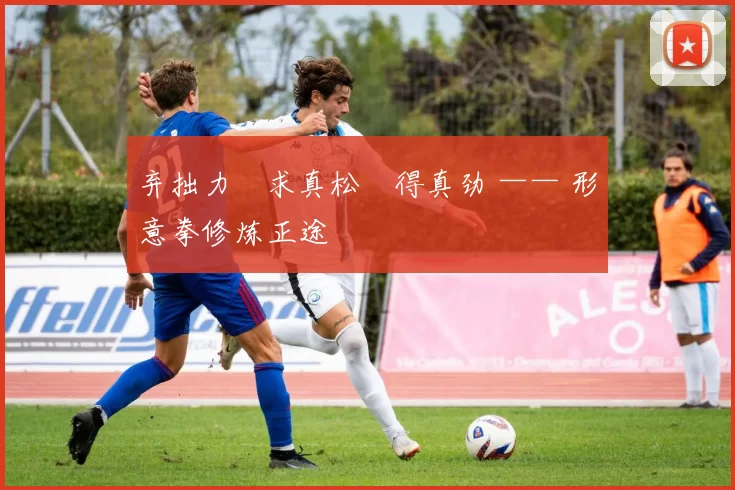 弃拙力・求真松・得真劲 —— 形意拳修炼正途