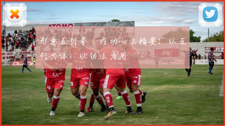 形意五行拳・内功心法精要:以五行为体,以劲法为用