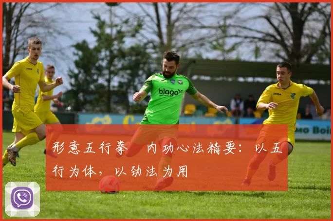 形意五行拳・内功心法精要：以五行为体，以劲法为用