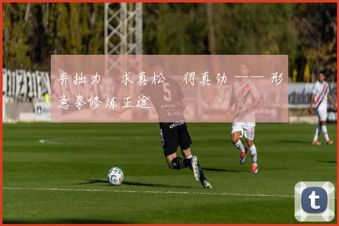 弃拙力・求真松・得真劲 —— 形意拳修炼正途