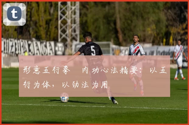 形意五行拳・内功心法精要：以五行为体，以劲法为用