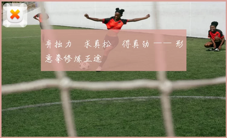 弃拙力・求真松・得真劲 —— 形意拳修炼正途