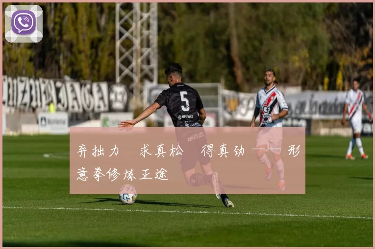 弃拙力・求真松・得真劲 —— 形意拳修炼正途