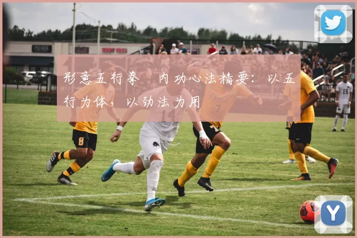 形意五行拳・内功心法精要:以五行为体,以劲法为用