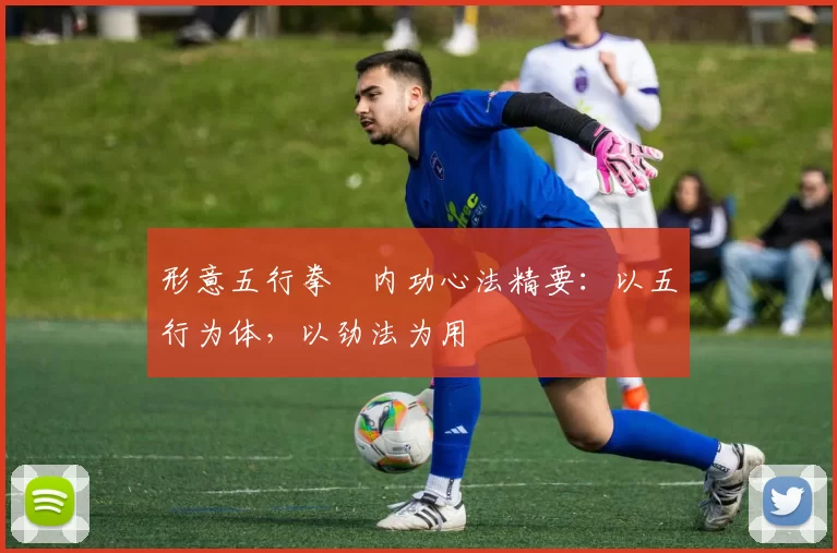 形意五行拳・内功心法精要:以五行为体,以劲法为用