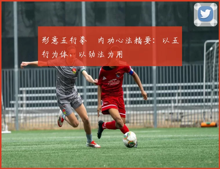 形意五行拳・内功心法精要：以五行为体，以劲法为用