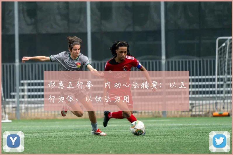 形意五行拳・内功心法精要：以五行为体，以劲法为用