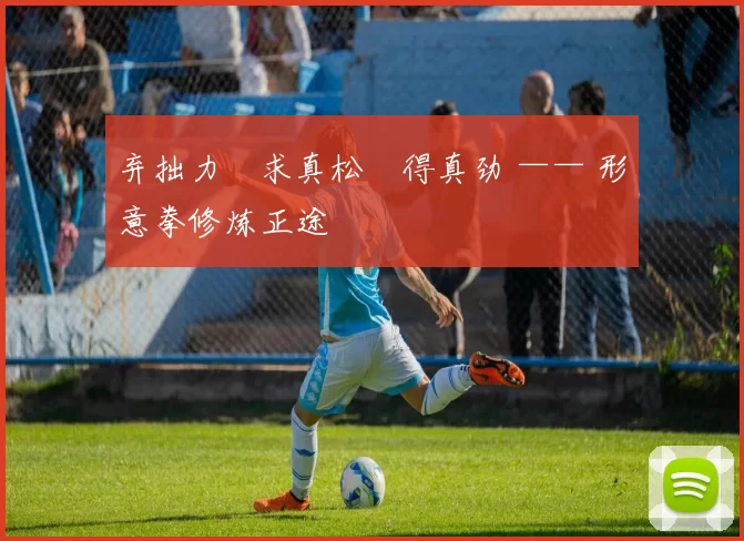 弃拙力・求真松・得真劲 —— 形意拳修炼正途