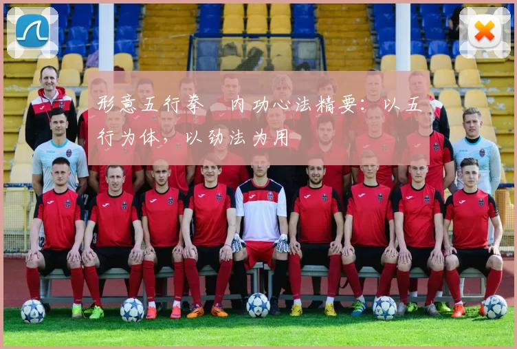 形意五行拳・内功心法精要:以五行为体,以劲法为用