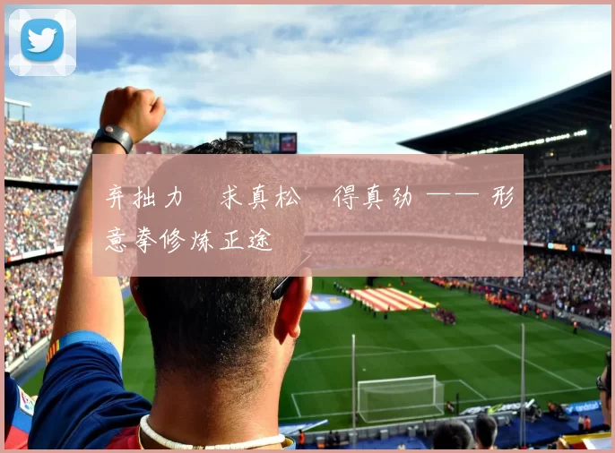 弃拙力・求真松・得真劲 —— 形意拳修炼正途