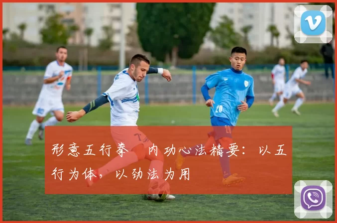 形意五行拳・内功心法精要：以五行为体，以劲法为用