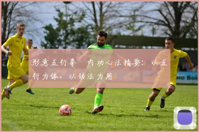 形意五行拳・内功心法精要：以五行为体，以劲法为用