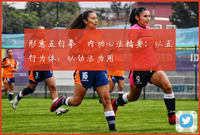 形意五行拳・内功心法精要：以五行为体，以劲法为用