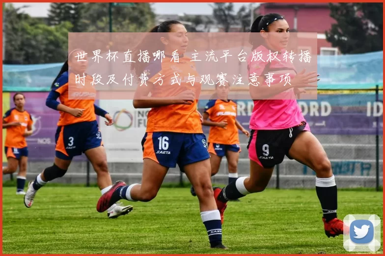 世界杯直播哪看 主流平台版权转播时段及付费方式与观赛注意事项