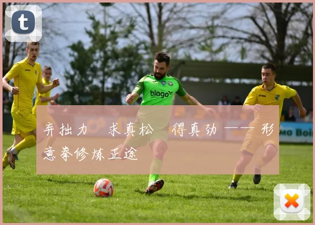 弃拙力・求真松・得真劲 —— 形意拳修炼正途