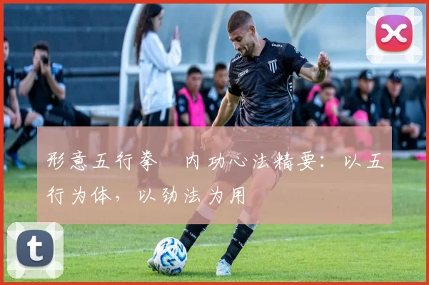 形意五行拳・内功心法精要：以五行为体，以劲法为用