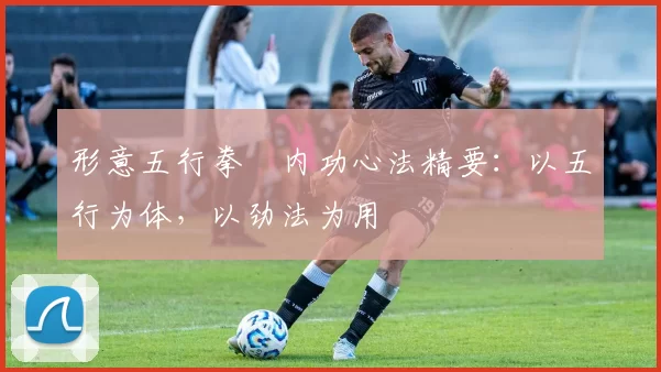 形意五行拳・内功心法精要:以五行为体,以劲法为用