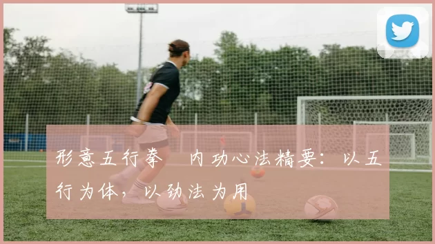 形意五行拳・内功心法精要:以五行为体,以劲法为用