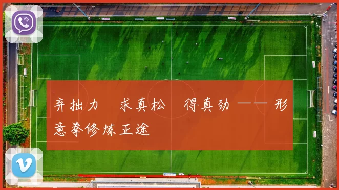 弃拙力・求真松・得真劲 —— 形意拳修炼正途