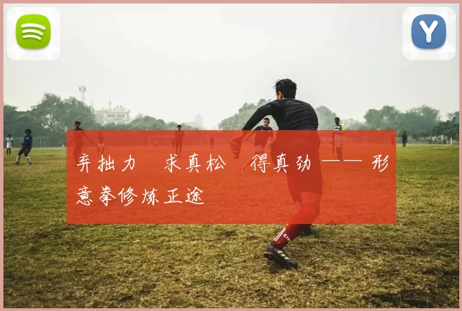 弃拙力・求真松・得真劲 —— 形意拳修炼正途