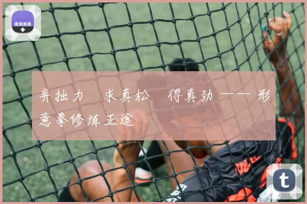 弃拙力・求真松・得真劲 —— 形意拳修炼正途