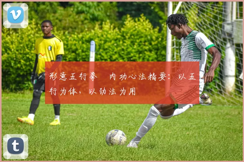 形意五行拳・内功心法精要：以五行为体，以劲法为用